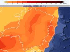 Clima seco favorece a colheita do café em Minas Gerais 002