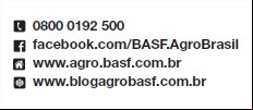 Contatos Basf