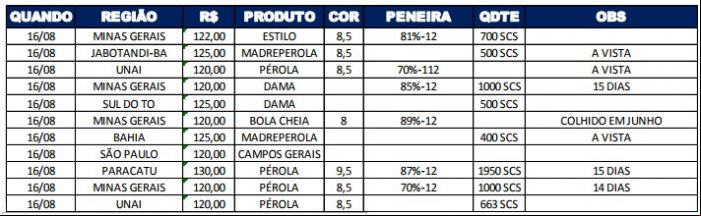 Relatório Feijão 17/08