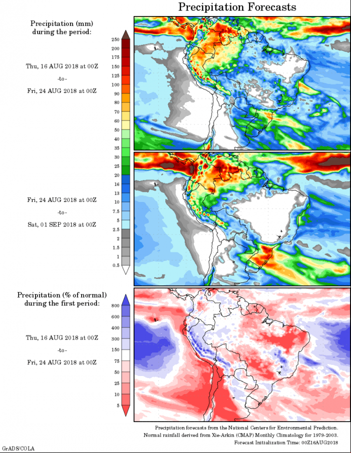 Mapa com a precipitação acumulada para o período de 16 de agosto até 01 de setembro - Fonte: National Centers for Environmental Prediction/NOAA