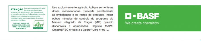feijao basf 2